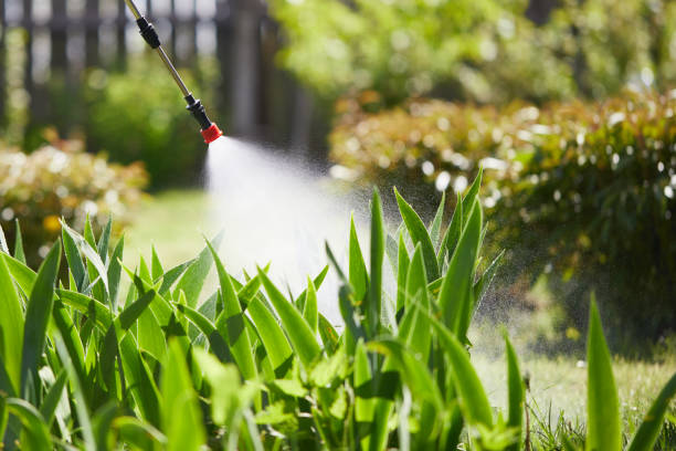 24/7 Emergency Mosquito Control experts in Pasadena, CA