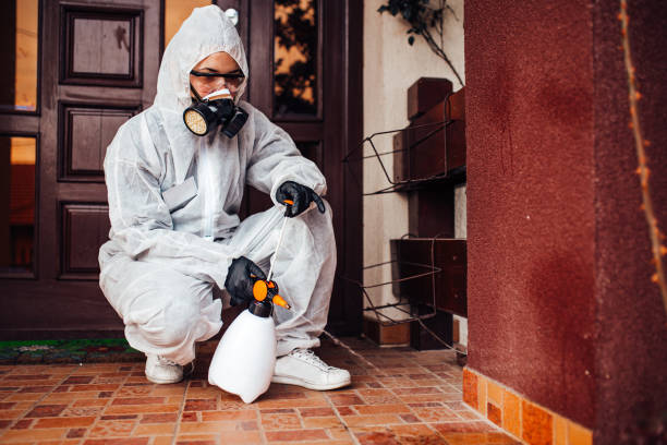 Reliable Mosquito Control contractor in Pasadena, CA by Show Me Pest Control